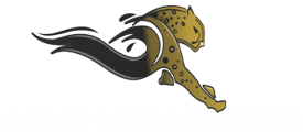 Ocean Leopard Tours