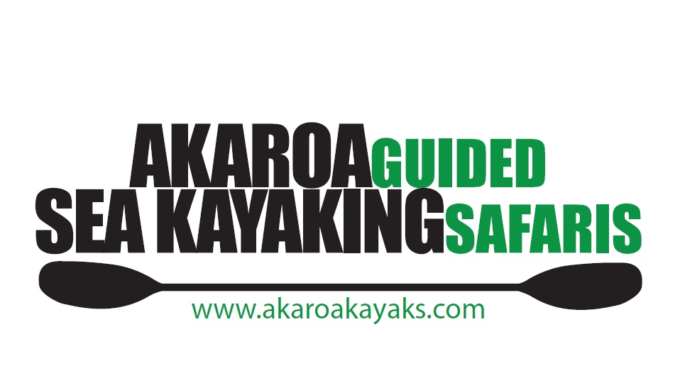 Akaroa Guided Kayak Safaris