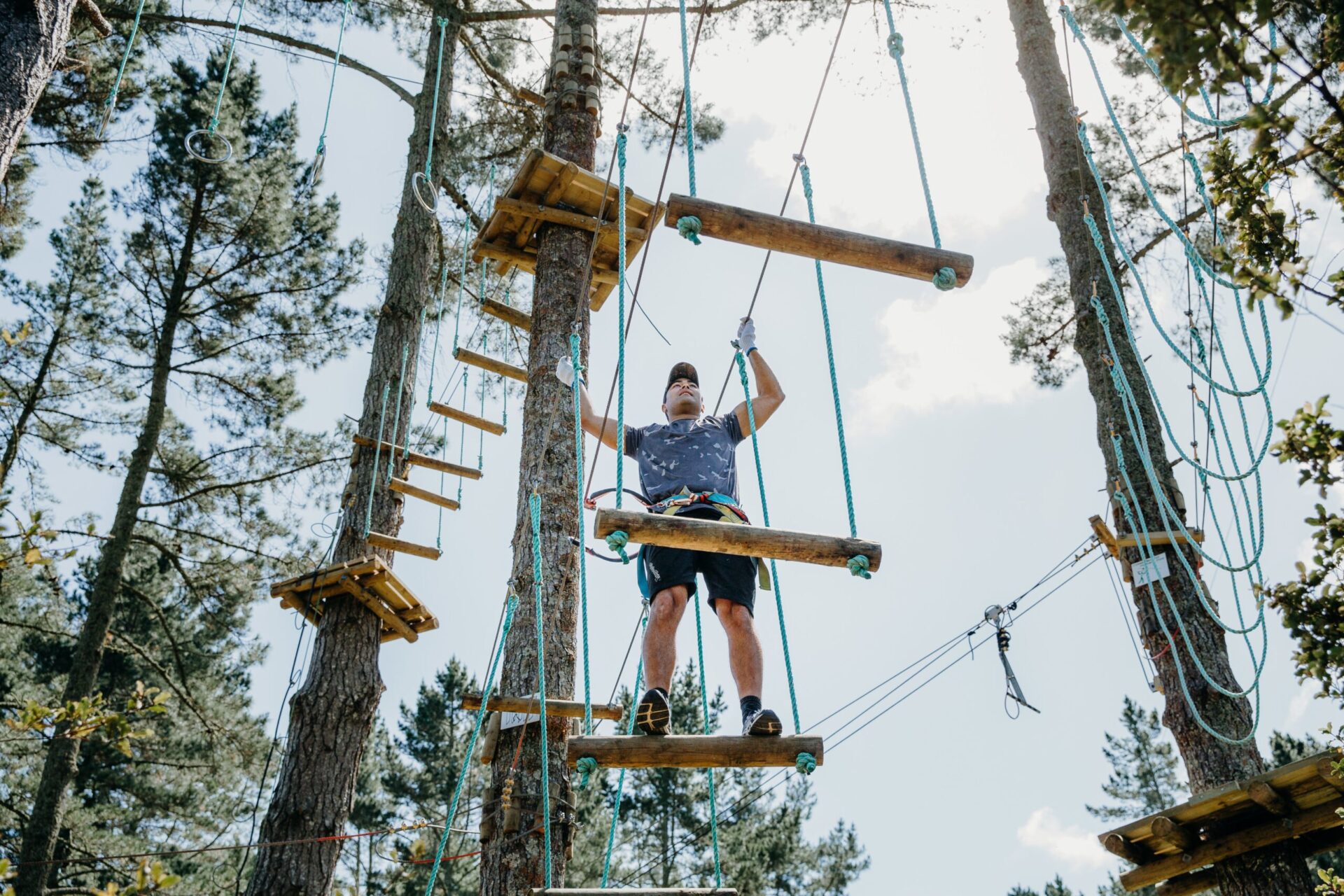 Adrenalin Forest Wellington